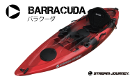 barracuda