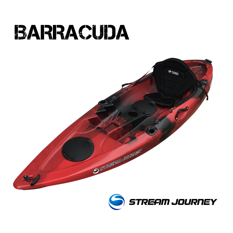 baracuda